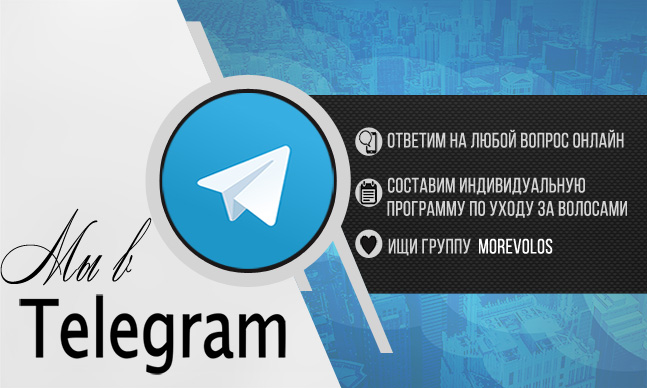 Telegram Telegram