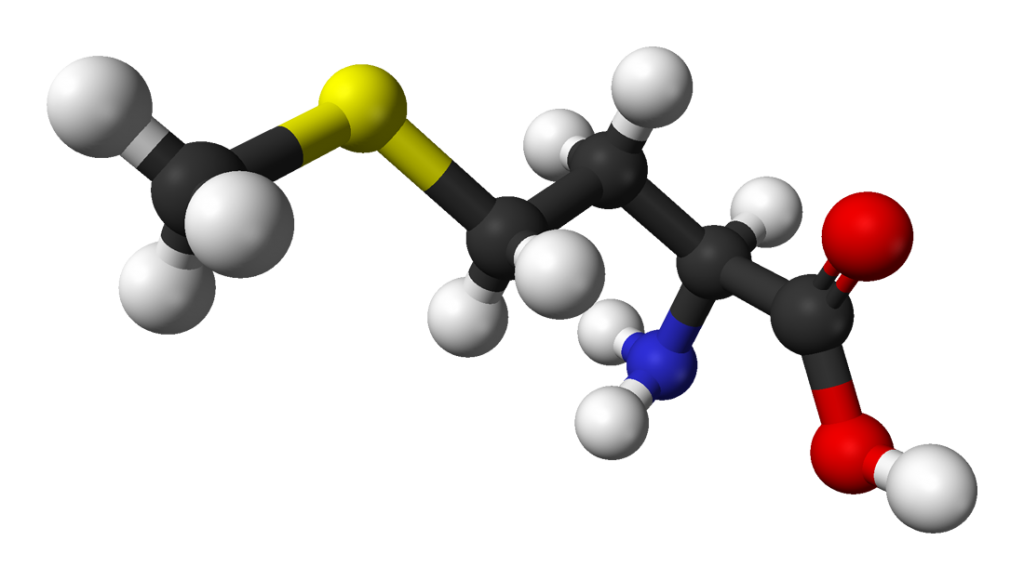 L-methionine-B-3D-balls.png