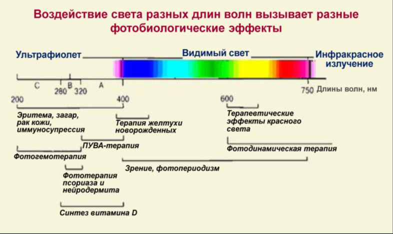 длины волн 5979514.jpeg