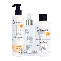 Протокол №2 Набор для восстановления поврежденных волос